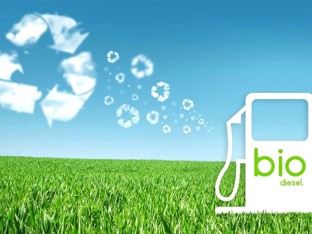 biodiesel-services